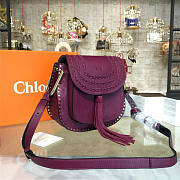CohotBag chloe handbag 5465 - 2