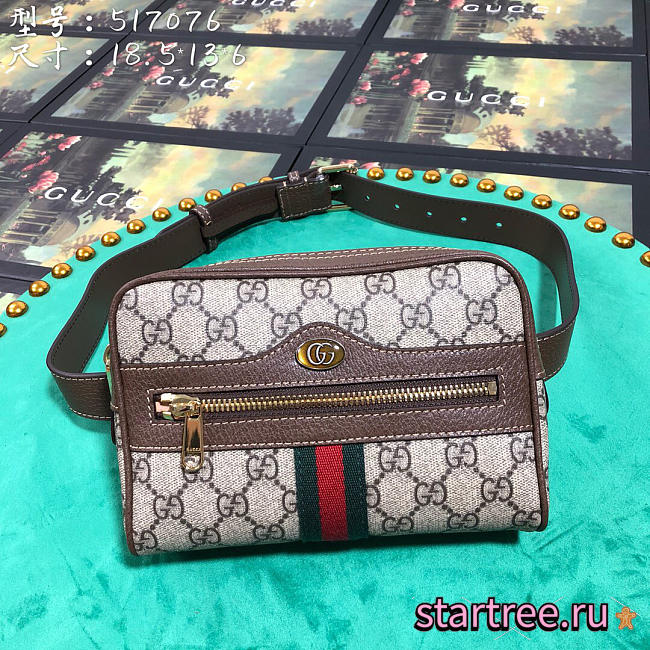 gucci ophidia gg supreme small shoulder bag CohotBag - 1