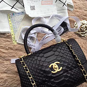 CohotBag chanel original snake skin black - 2