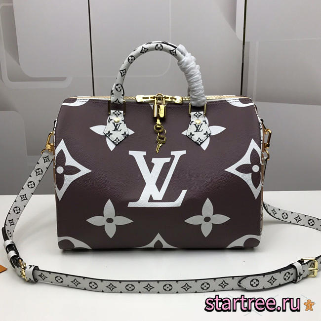 Louis Vuitton Top Original Single Speedy Khaki -  30x21x17cm - 1