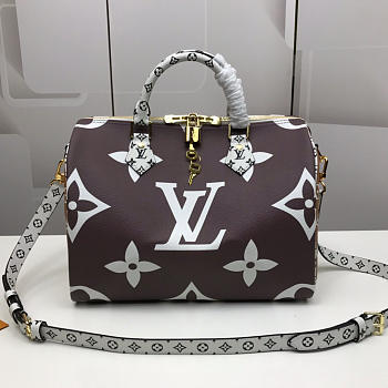 Louis Vuitton Top Original Single Speedy Khaki -  30x21x17cm