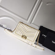 CohotBag chanel wrinkled calfskin white gold hardware - 4