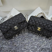 Chanel Caviar Leather Flap Bag With Gold/Silver Hardware Black 20cm - 1