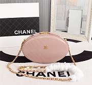 Chanel |  Whole Cowhide Pink - 1