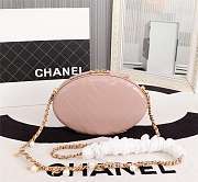 Chanel |  Whole Cowhide Pink - 5