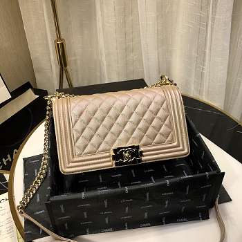 Chanel Leboy 2019 Pearlescent Chain Shoulderbag A67086 - 25cm