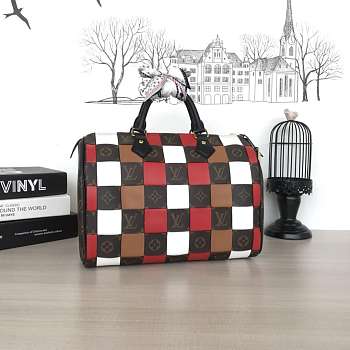 Louis Vuitton Speedy 30 handbag