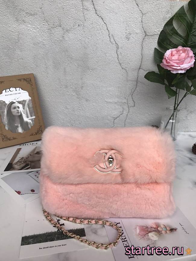 CohotBag chanel woc chain bag a69900 pink - 1