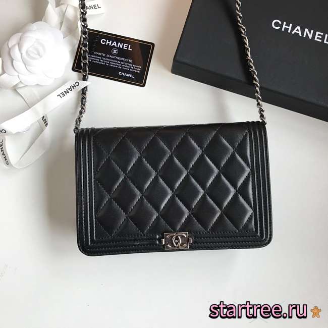 Chanel Leboy Woc Chain Package - 13×19.5×3.5cm - 1