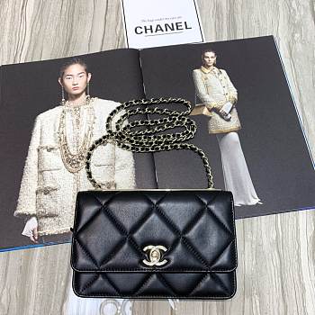 CohotBag chanel new goatskin woc chain bag