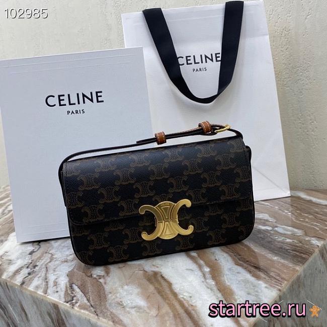 Celine Triomphe Canvas And Calfskin- 194142cuz - 20x10x4cm - 1