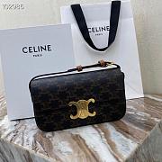 Celine Triomphe Canvas And Calfskin- 194142cuz - 20x10x4cm - 1