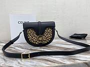 Celine Small Besace 16 Bag In Pony Calfskin -19x17x6 CM - 1