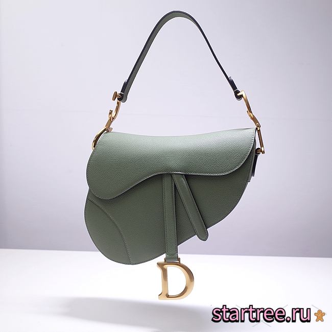 Dior Saddle Mint Bag- M0446C - 25.5 x 20 x 6.5 cm - 1