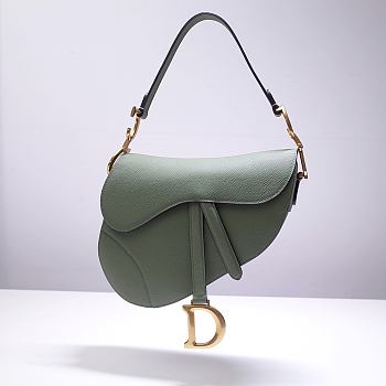 Dior Saddle Mint Bag- M0446C - 25.5 x 20 x 6.5 cm