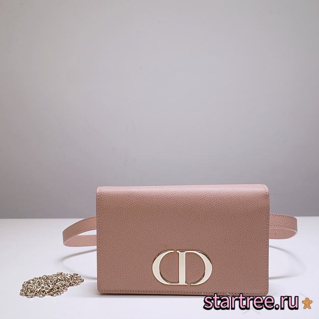 Dior 30 Montaigne 2 In 1 Pouch Pink Belt Bag - 19 x 12.5 x 4 cm - 1