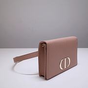 Dior 30 Montaigne 2 In 1 Pouch Pink Belt Bag - 19 x 12.5 x 4 cm - 6
