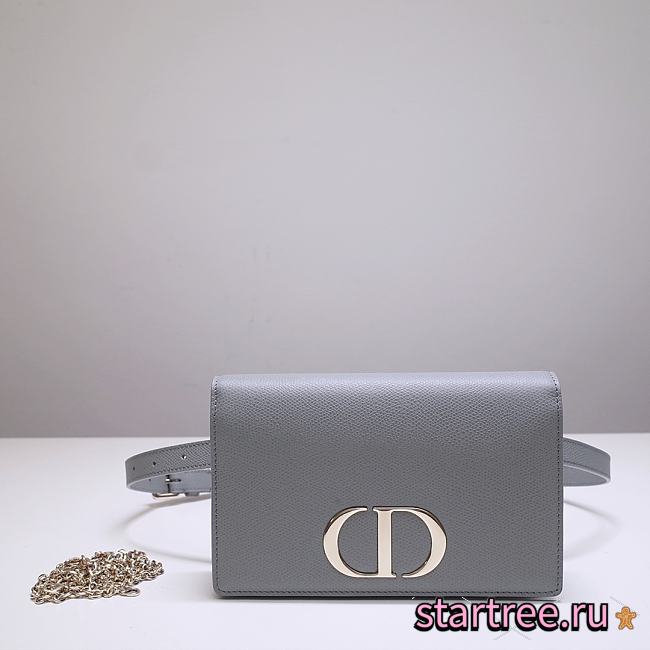 Dior 30 Montaigne 2 In 1 Pouch Gray Belt Bag - 19 x 12.5 x 4 cm - 1