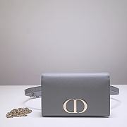 Dior 30 Montaigne 2 In 1 Pouch Gray Belt Bag - 19 x 12.5 x 4 cm - 1