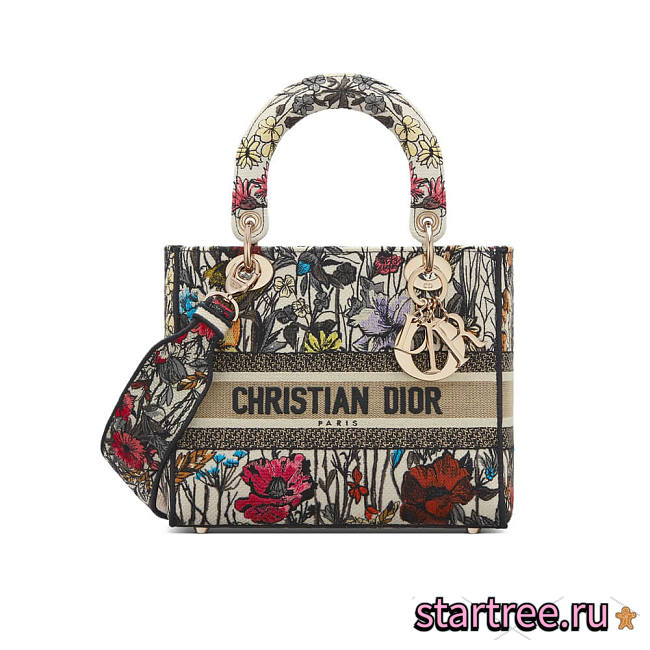 Dior Medium Lady D-Lite Bag in Multicolor- M0565 - 24x20x11cm - 1