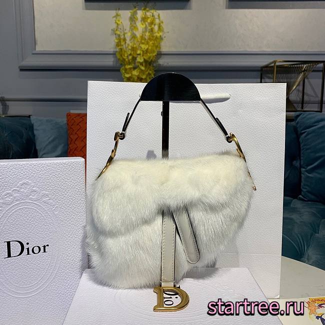 Dior Saddle White Bag - 20x5x15cm - 1