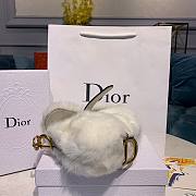 Dior Saddle White Bag - 20x5x15cm - 3