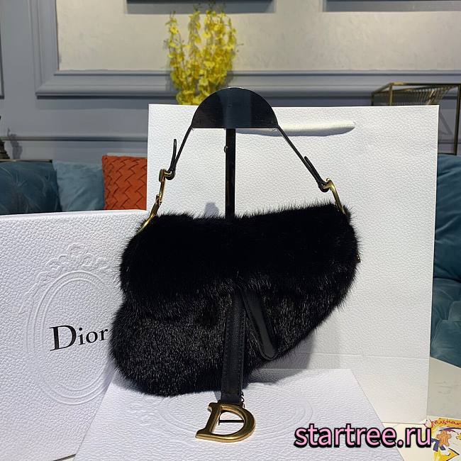 Dior Saddle Black Bag - 20x5x15cm - 1