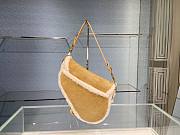 Dior Saddle Bag- 25.5 x 20 x 6.5 cm - 5