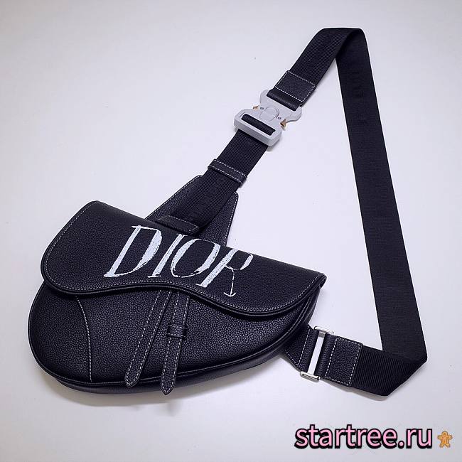 Dior Saddle Bag Grained Calfskin - 20x28.6x5cm - 1