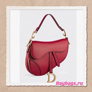 Dior Saddle Red Calfskin bag - 25.5 x 20 x 6.5cm