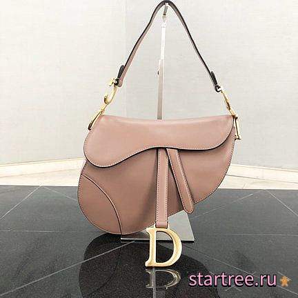 Dior Saddle Beige Calfskin bag - 25.5 x 20 x 6.5cm - 1