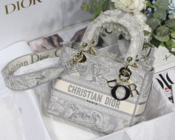 Dior Medium Lady D-Lite Bag Gray - 24 x 20 x 11 cm