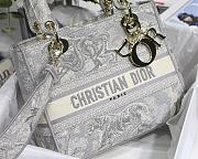 Dior Medium Lady D-Lite Bag Gray - 24 x 20 x 11 cm - 5