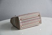 Medium Lady D-Lite Multicolor Stripes Embroidery - 24x20x11cm - 6