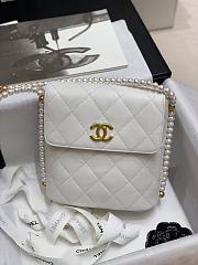 Chanel Small Pearl Chain Hobo Bag- AS2503 - 20x19x8cm - 1