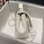 Chanel Mini Flap Bag Gold-Tone White Metal - A93749 - 19x7x14cm - 6