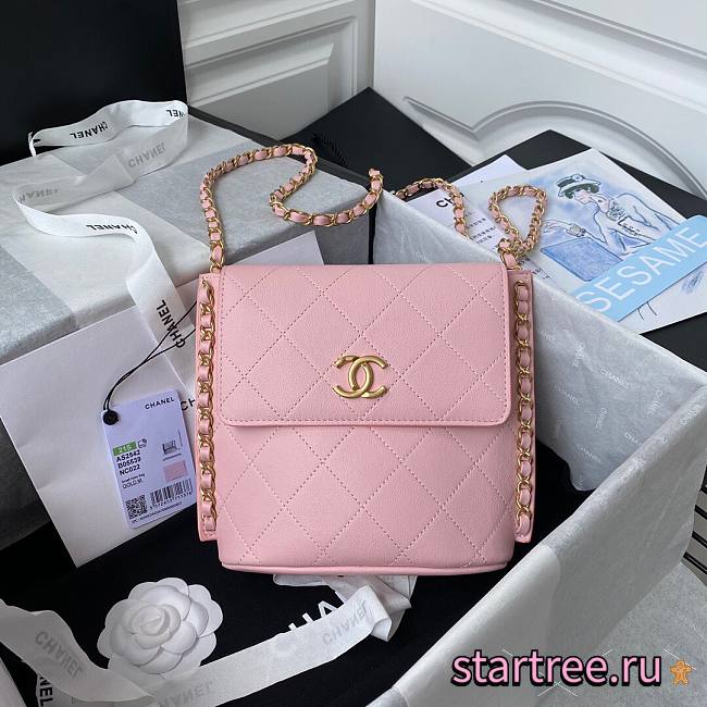 Chanel Small Hobo Gold-Tone Metal Pink - AS2542 - 23x25.5x8cm - 1