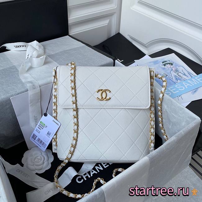 Chanel Small Hobo Gold-Tone Metal White - AS2542 - 23x25.5x8cm - 1