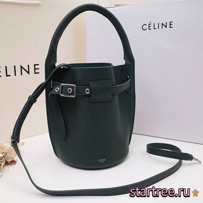Celine Nano Bucket Bag In Supple Grained Calfskin Green- 21x15x15cm  - 1