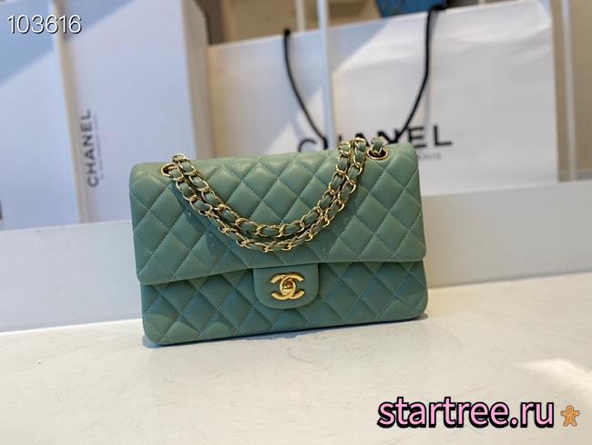 Chanel Classic Flap Chain Bag Mint - 25cm - 1