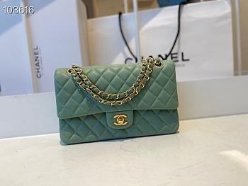 Chanel Classic Flap Chain Bag Mint - 25cm