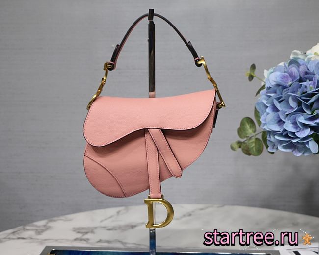 Dior Saddle Mini Pink Bag - 19.5 x 16 x 6.5 cm - 1