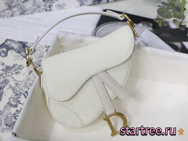 Dior Saddle in Denim Canvas White Bag - 21 x 18x 5 cm - 1