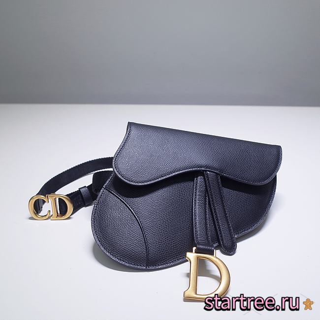 Dior Saddle Belt Black Calfskin Bag - 20 x 17 x 2 cm - 1