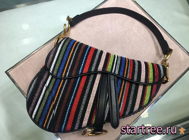 Dior Saddle Canvas Bag Embroidered With Multi-coloured Stripes - 25.5x20x15cm - 1