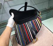 Dior Saddle Canvas Bag Embroidered With Multi-coloured Stripes - 25.5x20x15cm - 6