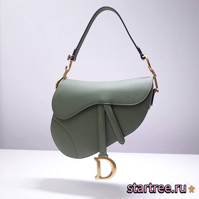 Dior Saddle Willow Green Grained Calfskin Bag - M0446C - 25.5 x 20 x 6.5 cm - 1