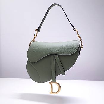 Dior Saddle Willow Green Grained Calfskin Bag - M0446C - 25.5 x 20 x 6.5 cm