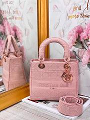 Dior Lady D-Lite Bois de Rose - M0565J - 24 x 20 x 11 cm - 1