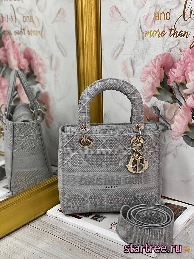 Dior Lady D-Lite Gray - M0565J - 24 x 20 x 11 cm - 1